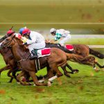 初心者が競馬に行く時の心構え