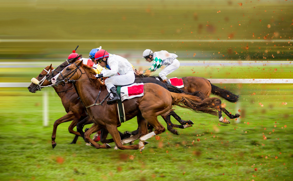 初心者が競馬に行く時の心構え