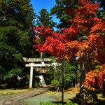 愛犬と神社を参拝する場合には