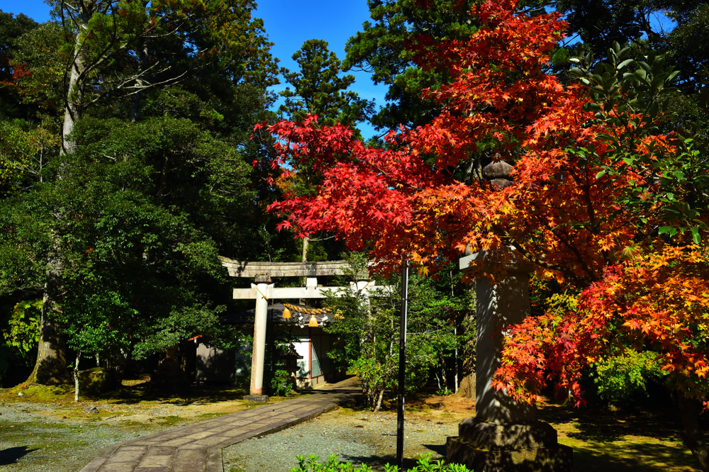 愛犬と神社を参拝する場合には